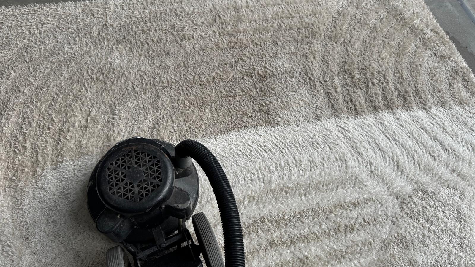 hoogpolig tapijt reinigen hoogpolig tapijt reinigen